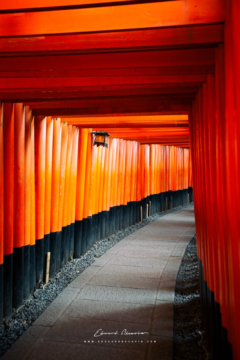 Fushimi Inari-Taisha, Torii ⛩ 鳥居
Kyoto 京都市 Japan 日本 🇯🇵
.
.
.
.
.
.
#torii #toriigates #鳥居 #fushimiinaritaisha  #travel #travelphotography #kyoto #京都市 #japan #日本 #path #wood #red
