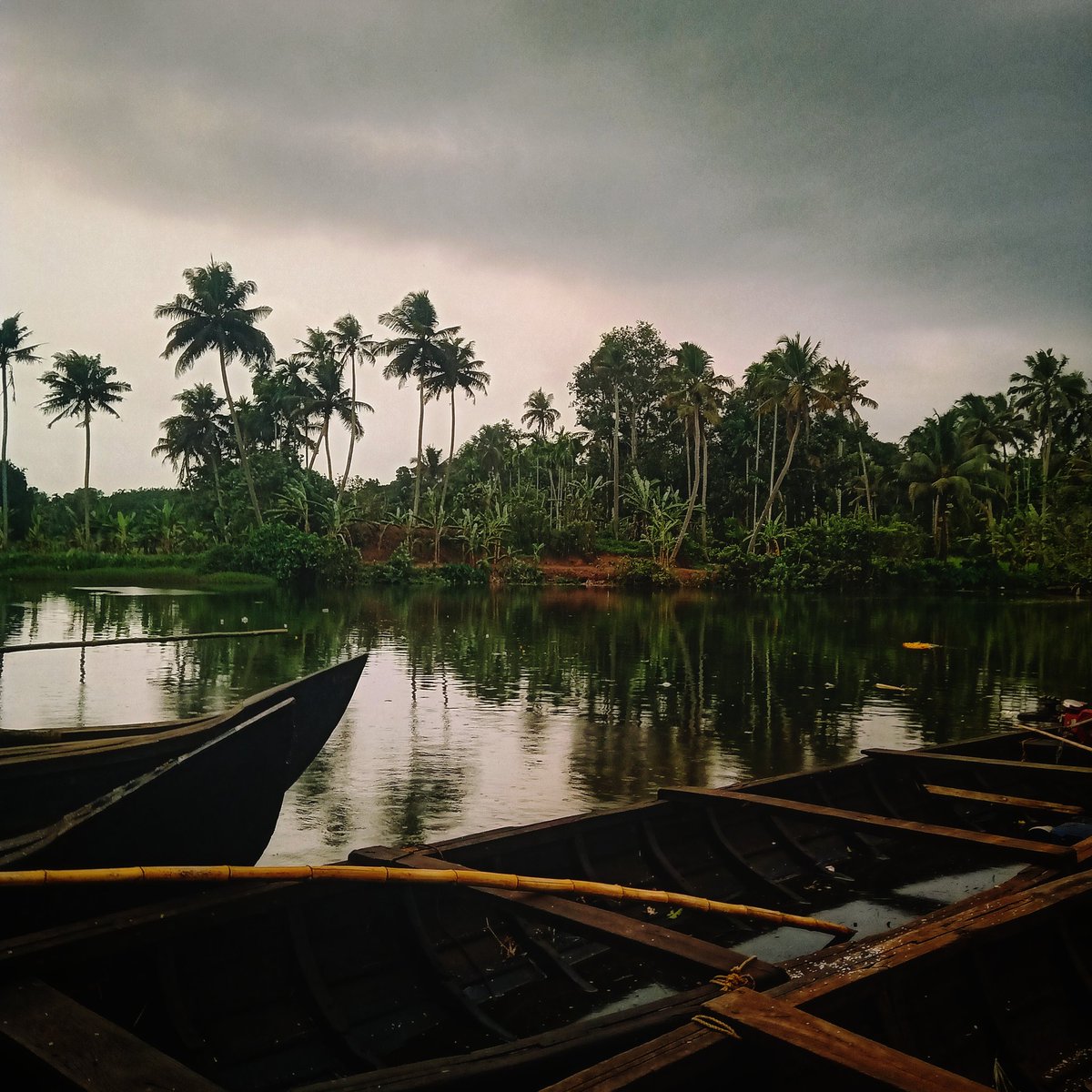 MonsoonNova's tweet photo. Cloudy weather refreshes the earth with rain.
#Cloudy #landscapelovers
#evening #NaturePhotography #Kerala https://t.co/PJXouQN9Gr