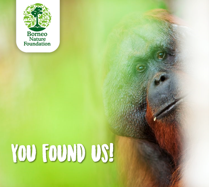 Borneo Nature Foundation Intl tweet media