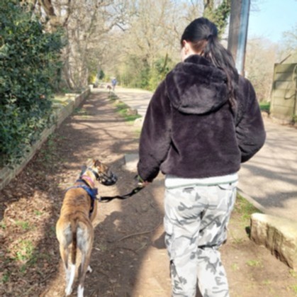 transformhs's tweet photo. "It was a very fun experience, I found it helped get me out the house and I really enjoyed being with animals." – Spelthorne client Vladimira has been getting up close and personal with some furry friends including at #WimbledonGreyhoundWelfare #SpelthorneFocus #TransformAt50 https://t.co/G3iy4q7sNh