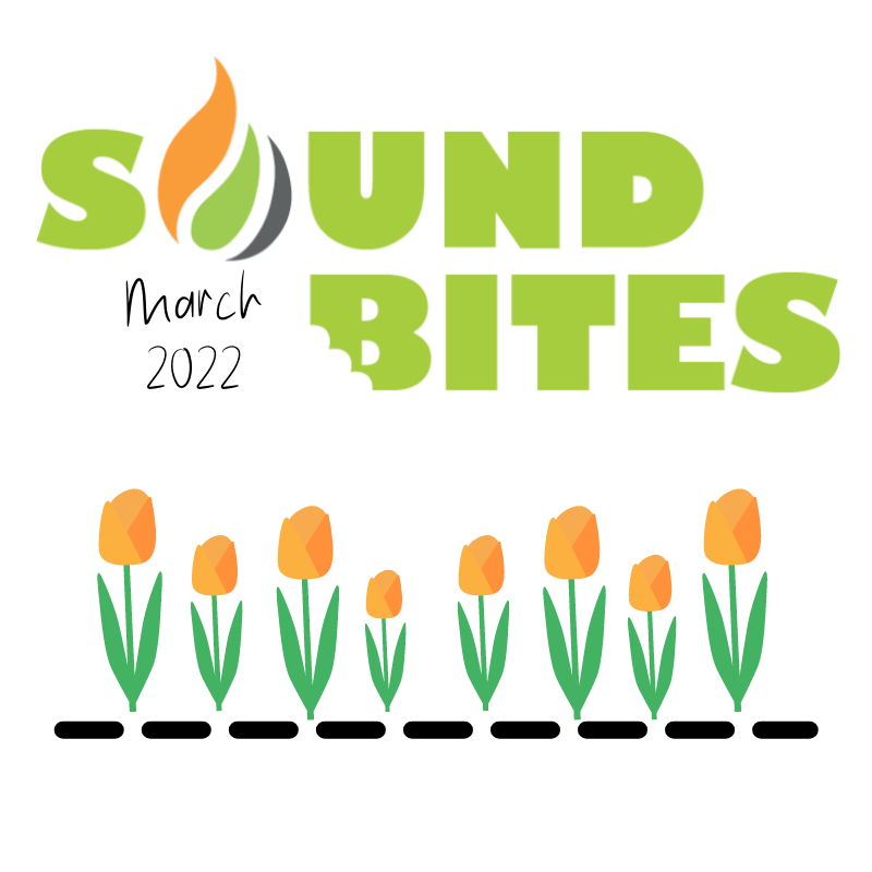 🌷 Sound Bites - March 2022! 🌷

Grab a coffee (or tea, we're not fussed!), kick back for a 5 minute break &amp; catch up on what we've been up to!

👉 ow.ly/uzbE50IxZ2Y