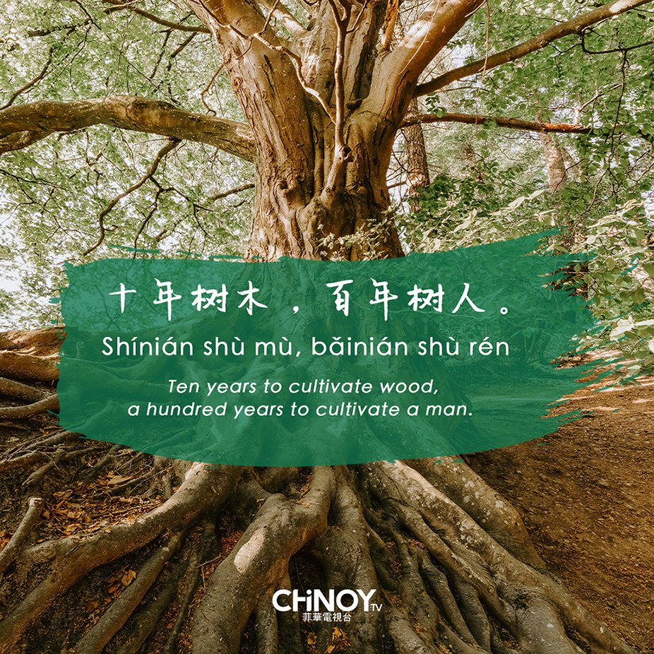 Knowledge shouldn't stop after school, like this saying which implies that as it takes 10 years to grow a tree, learning and training is a lifetime process for a man.

From the work of Guan Zhong (《管子·权修 第三》) who was a politician in the Spring and Autumn Period.