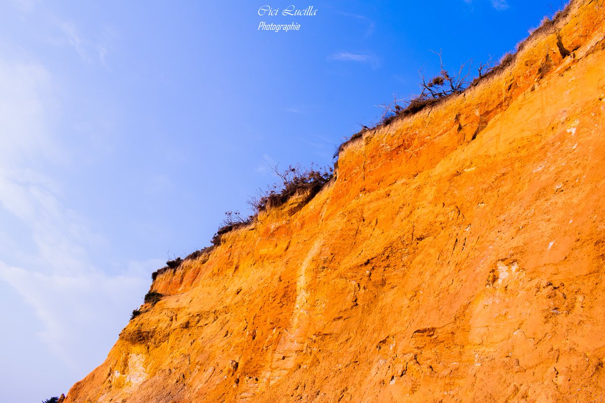 justmetitania's tweet photo. ☀️💛🧡💙
#photographylovers #photography #photographie #blusky #sunsetcolor #naturephotography https://t.co/Wk3ZKwGG9z