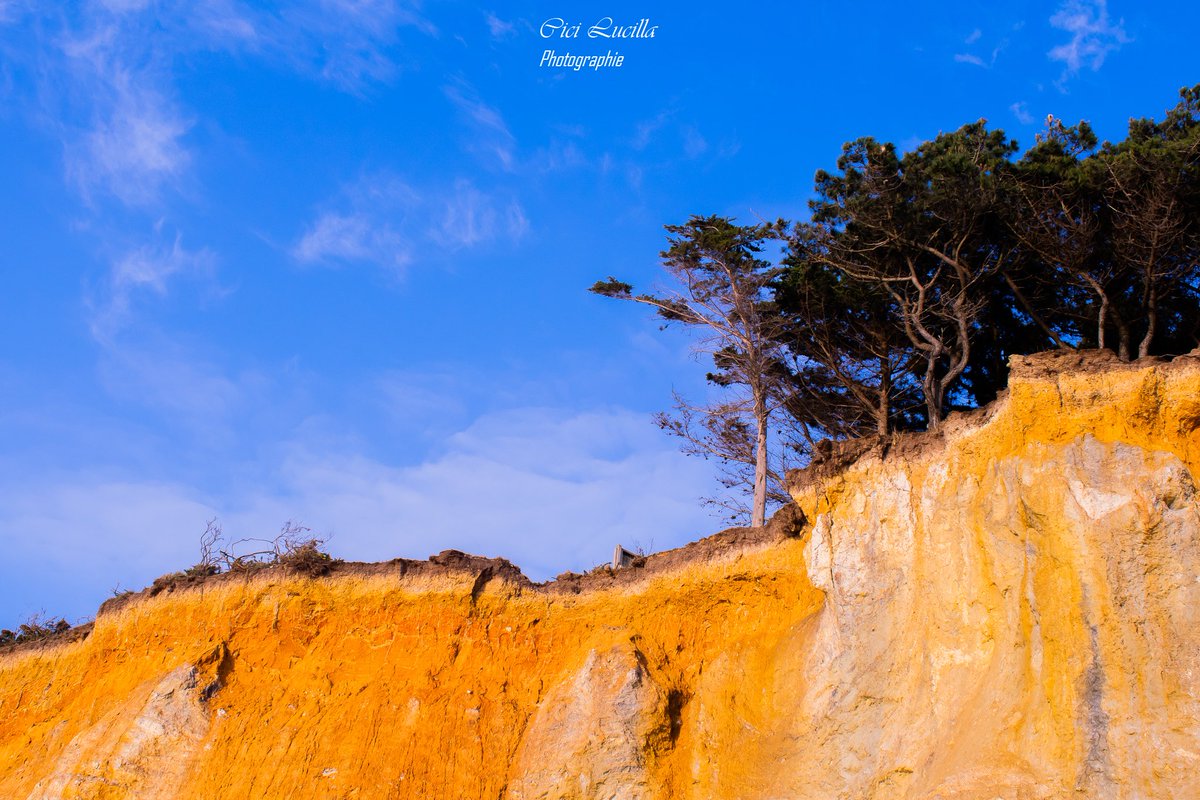 justmetitania's tweet photo. ☀️💛🧡💙
#photographylovers #photography #photographie #blusky #sunsetcolor #naturephotography https://t.co/Wk3ZKwGG9z