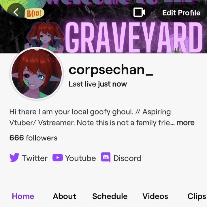 corpsechan_'s tweet photo. We have ascended hordelings! I couldn't have gotten here without you all!!! 😭💚💚 Also dat follower number hue hue. 😈😋 https://t.co/UadHXY7ds5