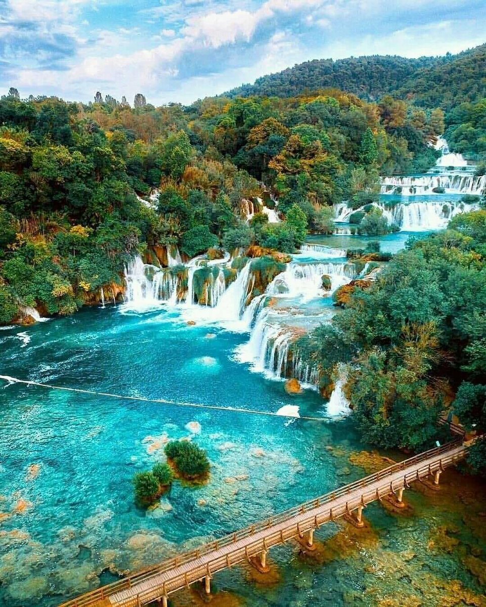 Flora🦋 🕊NO DM! 🕊 tweet media