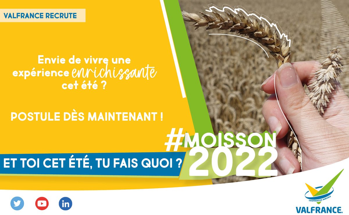 🚜MOISSON 2022, appel à #candidatures !

Tu as envie de vivre une super expérience cet été ? 😀

Alors, viens participer à la période la plus importante de l’année : la #moisson d'été ! ☀

Pour #postuler 👉cutt.ly/gD4dvWT !