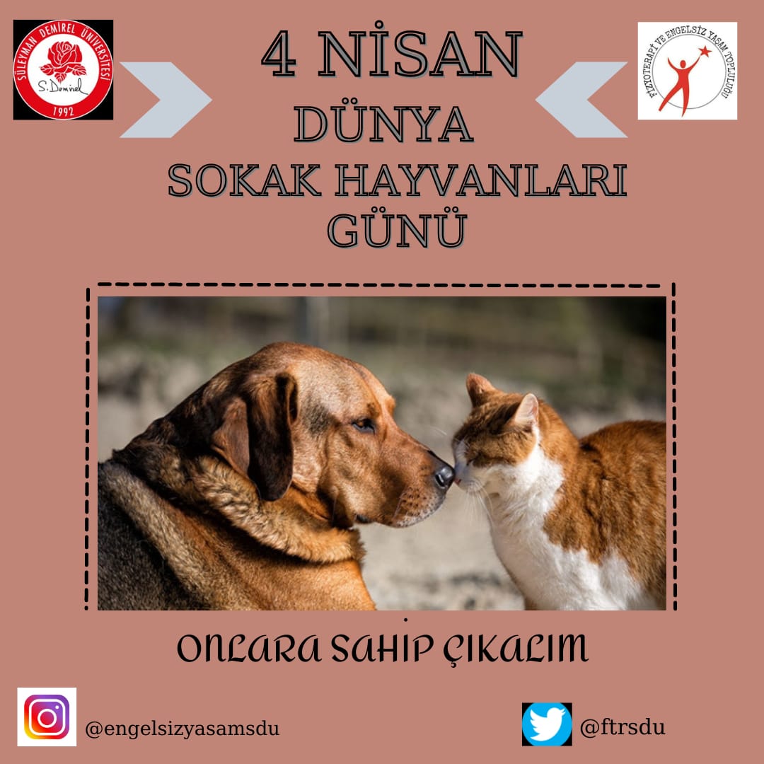 ftrsdu's tweet photo. 4 Nisan Dünya Sokak Hayvanları Günü’nde, sessiz dostlarımızı daha çok hatırlayalım. Bir avuç mama, bir kap su ve bolca sevgiyle onları bir gün değil her gün mutlu hissettirelim.
@sdutopluluklar https://t.co/mRVEutpGsF