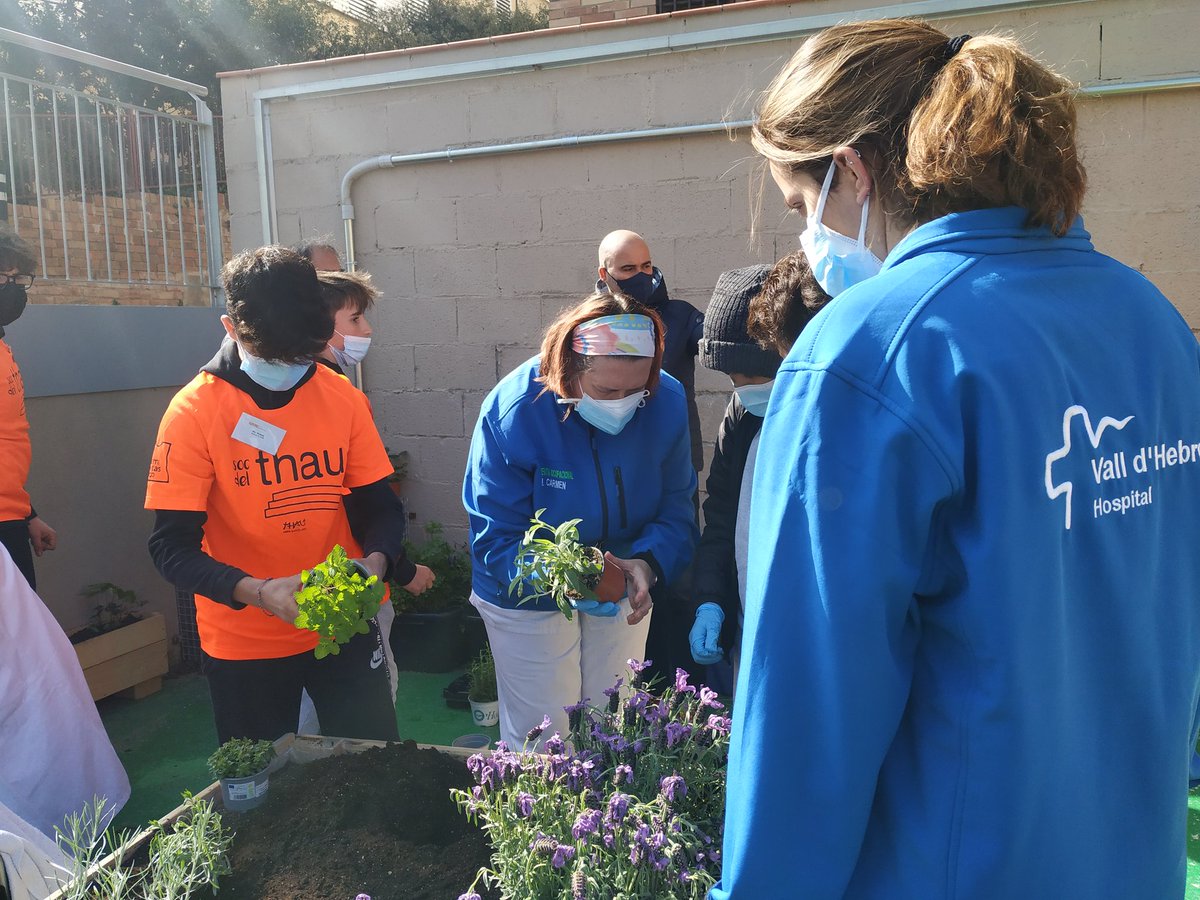 vallhebron's tweet photo. L'hort terapèutic és una iniciativa que va néixer el 2018, de la mà de Sandra Ponce, infermera supervisora de l'Hospital de Traumatologia, Rehabilitació i Cremats. Ara viurà una nova etapa gràcies al projecte #FentVerd de l'@EscolaThauBCN. https://t.co/AGX5xpzwPY