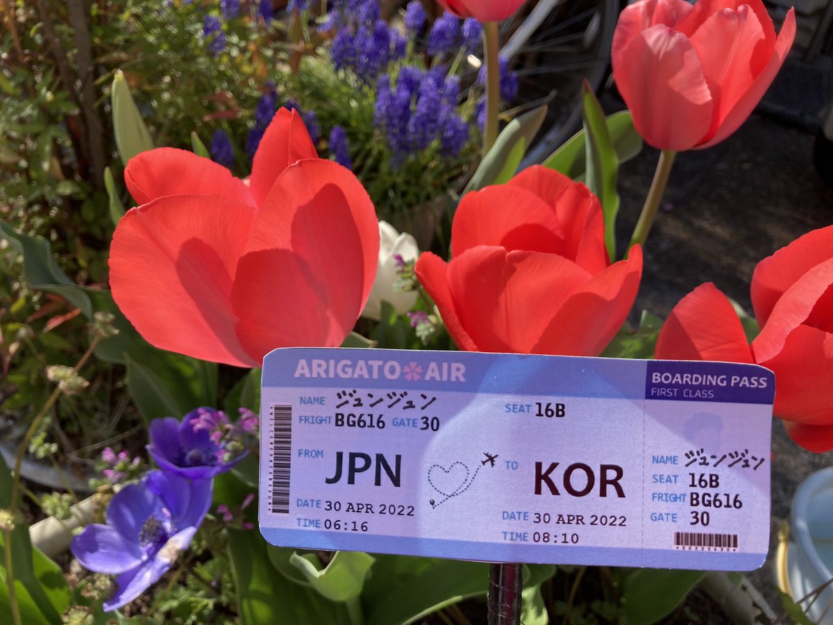 RnrzFt's tweet photo. パクボゴムさん🌟いつも応援しています🌷@arigatobgjapan
#パク・ボゴム
#ParkBoGum
#おかえりボゴム
#帰ってきた_私の人_パクボゴム
#WeareBGer https://t.co/jUsJObTPwv