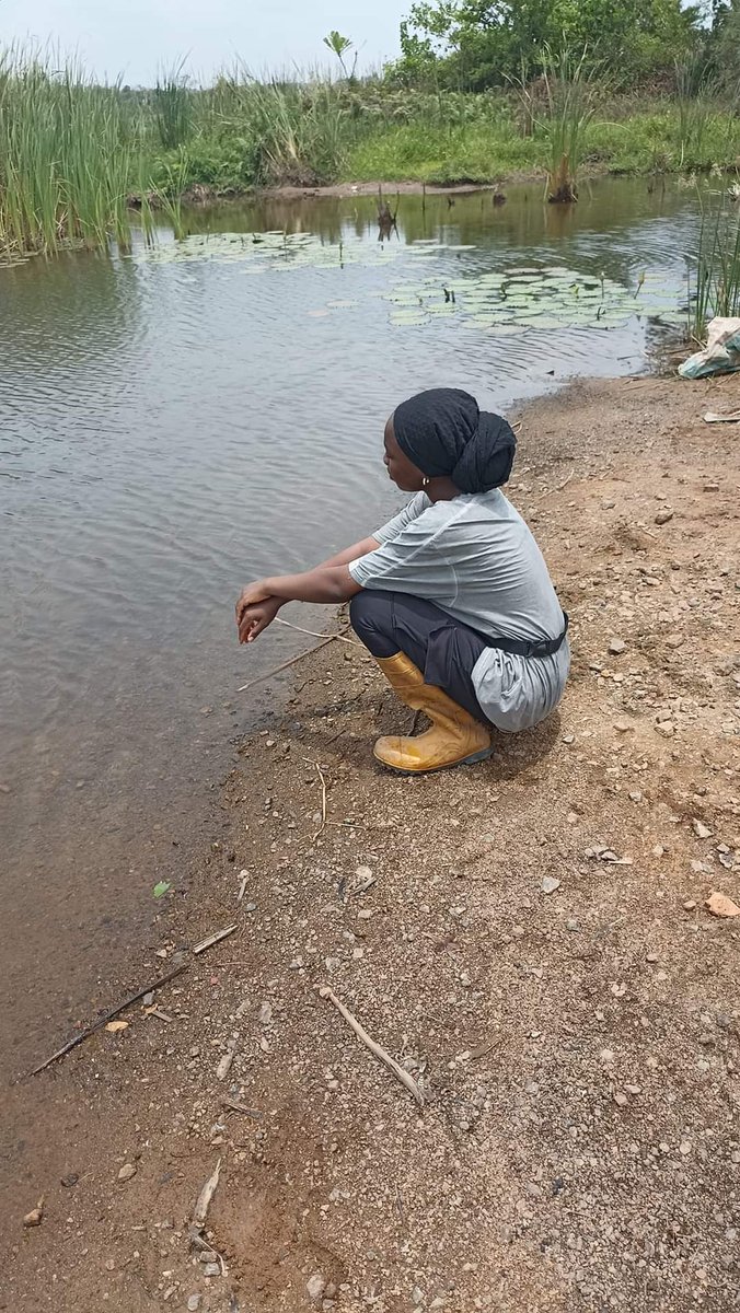 bambeefarms's tweet photo. Start small, learn and Perfect!
Have a productive week 💚💚.
#farming #agriculture #womensupportingwomen #womeninbusiness #femalefarmer #internationalwomensday #agriculturalconsultant #agribusiness #beekeeping #farminspection #dam #waterside #mondaymotivation https://t.co/VILrxRB3ug