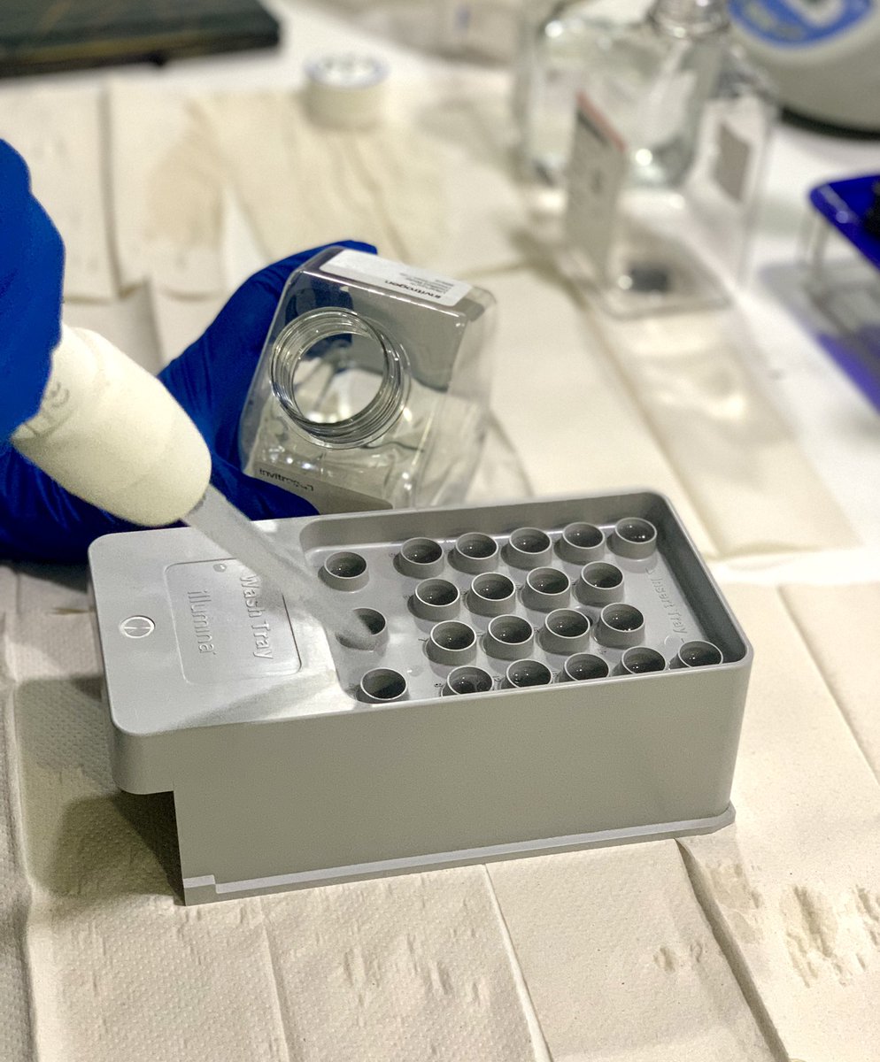 cgs_rmi's tweet photo. Washing and prepping our MiSeq machine for reading our next set of DNA products.
#maintainence #illumina #wash #sequencing #DNAreading https://t.co/mqZHwIMpTu