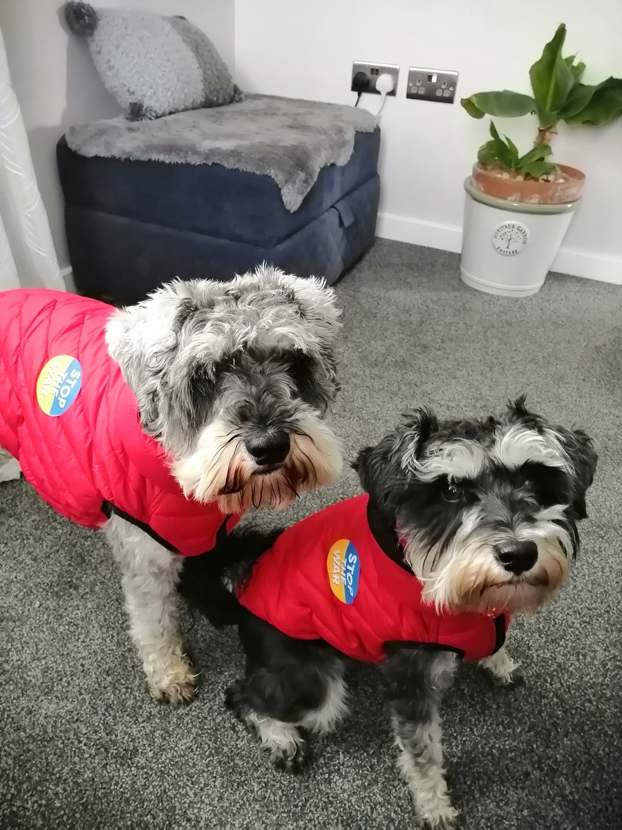 We is wif you 🇺🇦