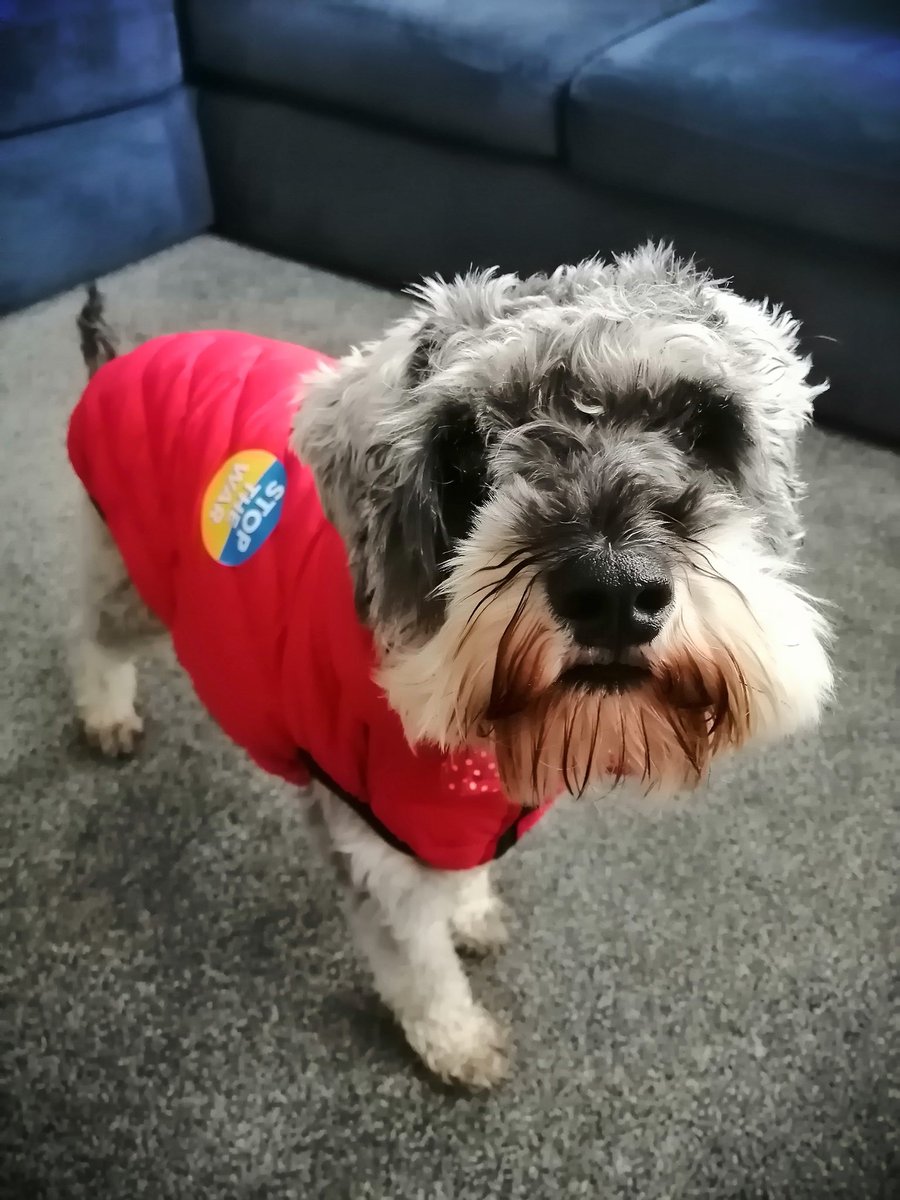 tiggerbeam's tweet photo. We is wif you 🇺🇦 https://t.co/z0rbHcvJrY