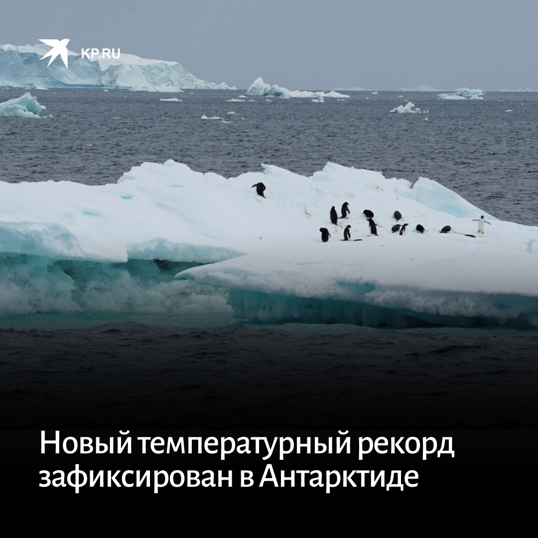 антарктида температура зимой. сколько градусов в антарктиде. шельф бранта в антарктиде. лето в антарктиде. климат антарктиды презентация.