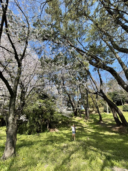 Twitterのコスプレ画像13