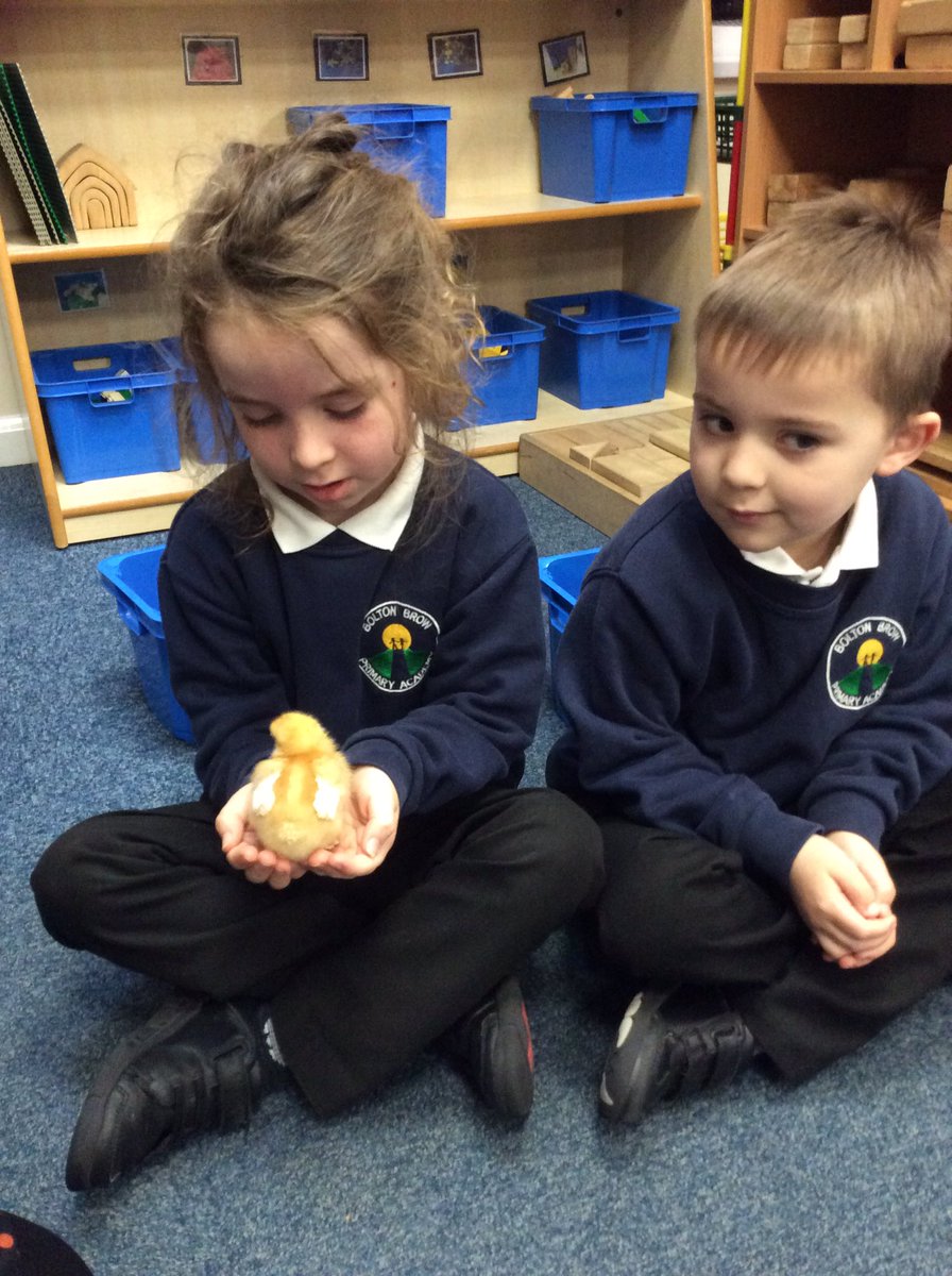 Proud2bBrow's tweet photo. Reception have all had a turn at holding a chick this morning. We all loved it! 🐥 https://t.co/mBfv7N9xSG