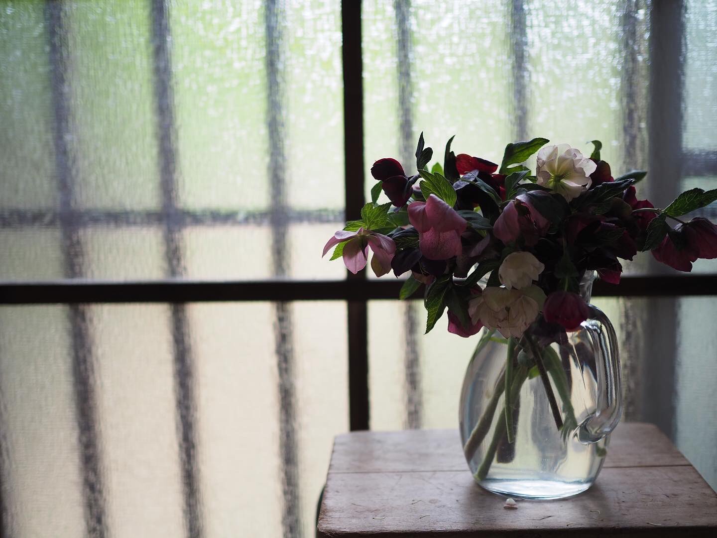 Hanauta Hanautadiary Twitter