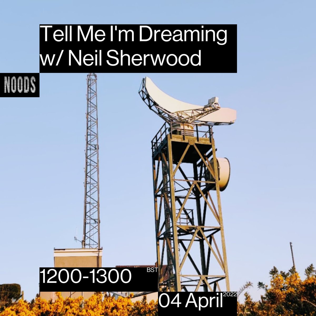 Tell Me I'm Dreaming tweet media