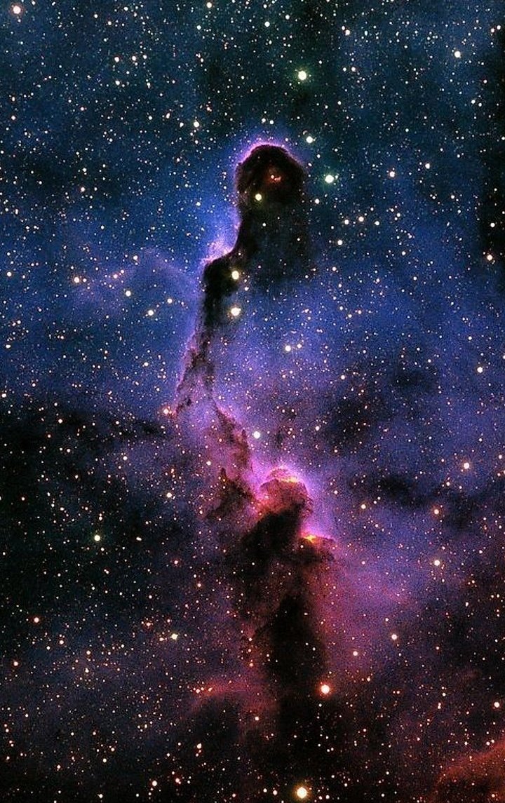 IC1396 Elephant Trunk Nebula in Cepheus #Nebula #universe #space