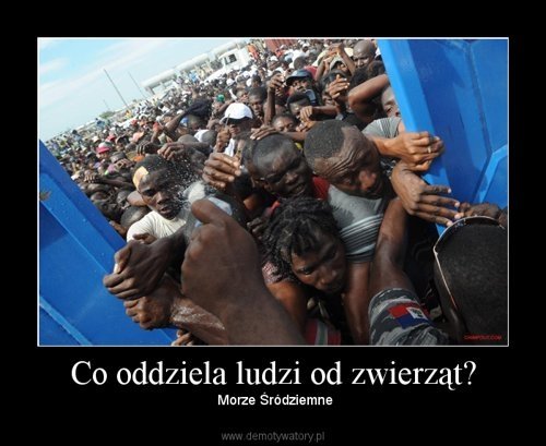 Pawe65003389's tweet photo. Jebac śmietanę @Barttttt
Frajer ma yellow paper
A i tak Chuja mocno obsysa,
Jego marzenie to na mordzie rysa,
Śmiec ma 12 punktów,
I białego dsc jebaby
Na tym zdjęciu to jego rodzina
#famemma13 Warzecha #Ukraina #UkraineRussiaWar #UkraineWar #RussianWarCrimes #freespermachad https://t.co/QM9ViiXnnc