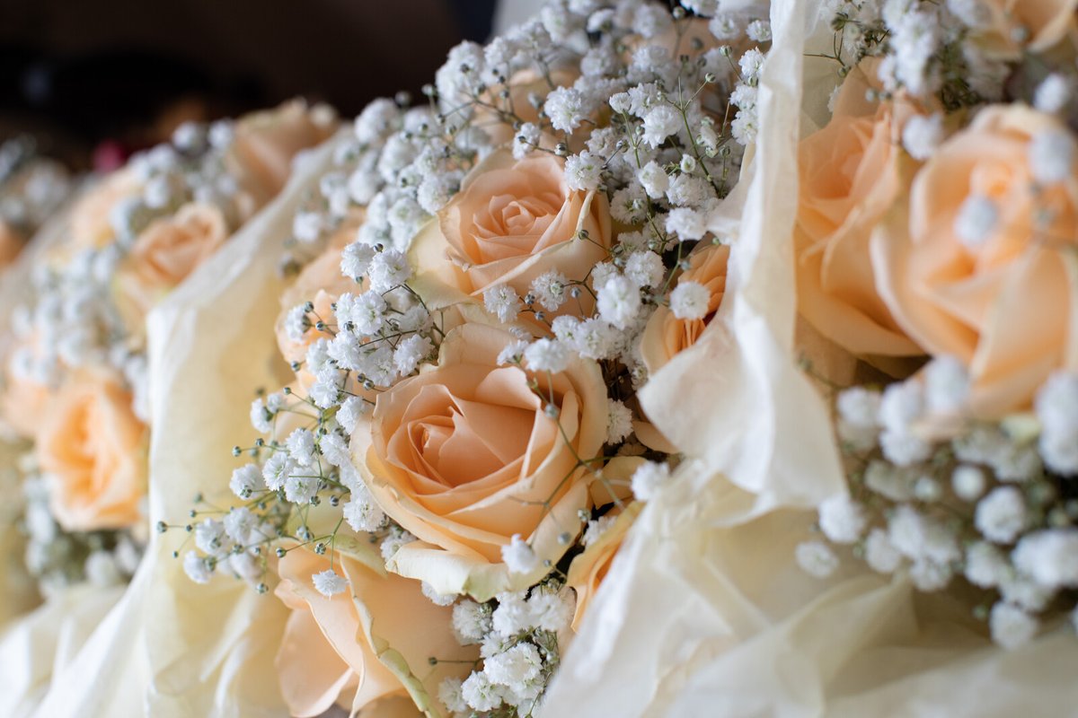 Emma Clarke tweet media