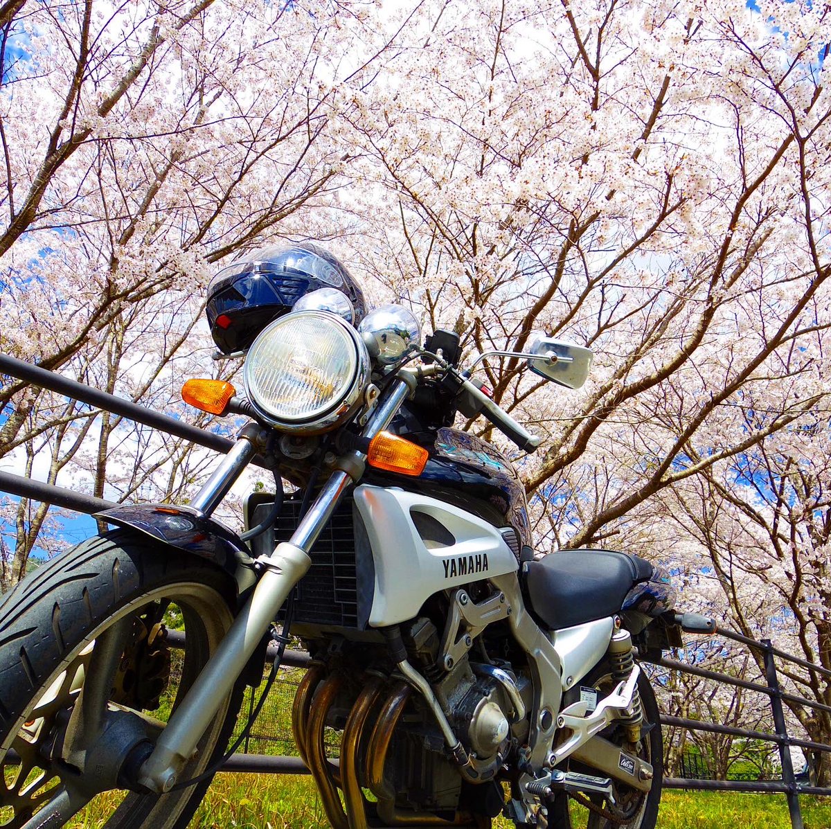 oriyaso's tweet photo. しだれ桜に囲まれて。
久々にpentax Q7で撮影。
やっぱ携帯よりこっちの方が綺麗に撮れる気がする。
#ゆうかの里
#桜
#しだれ桜
#zeal
#zeal250
#fzx250
#バイク
#ソロツーリング
#autobike
#春
#pentaxq7
#pentax
#yamaha
#ヤマハが美しい https://t.co/H1O0x58StC