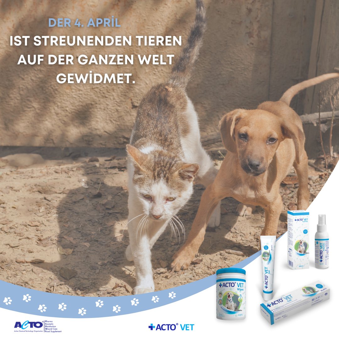 ActoGmbH's tweet photo. Der 4. April ist streunenden Tieren auf der ganzen Welt gewidmet.

#worldstrayanimalsday #animalwelfare
#straydogs #straycats #dogcare #dogsafety  #vet #veterinary #vetphysio #vetexpert https://t.co/pGJfsau3Rr