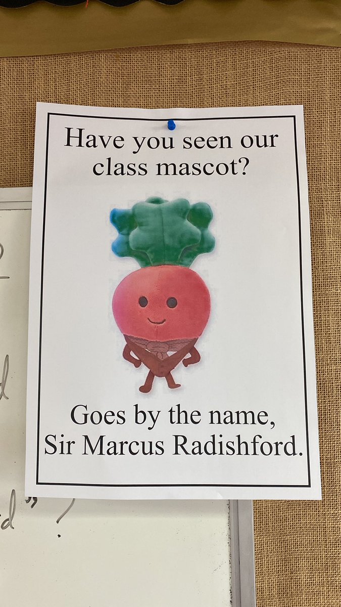 AshKnotty's tweet photo. The children came in to the very sad news that we (Mr Hall) accidentally left Marcus Radishford in @YHAHawkshead ! We are now writing an email against the clock to see if we can bring him home! Any help would be appreciated @MarcusRashford #LWQM #DiddyWriters #BringHimHome https://t.co/dj55RCoAQ7