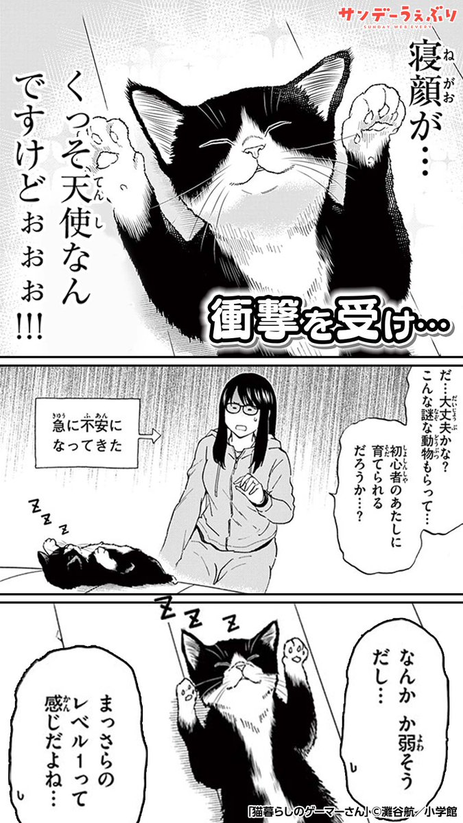 白黒ハチワレ猫×ゲーマ女子
野良猫を攻略できるのか!?
https://t.co/Z2nIrtksZI 