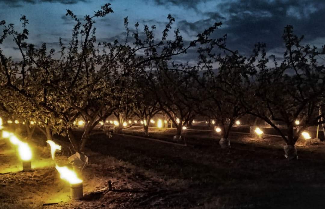 QUALISOL tweet media