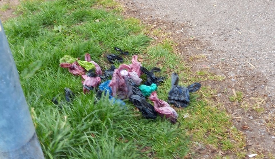 KeepAbergTidy's tweet photo. Arthur gathered this little lot on a 300 metre lane at the back of old barn way and old Hereford road. 

Some dogowners letting down the town. @AberVoice #YFenni #Abergavenny https://t.co/1wkvyMwEam