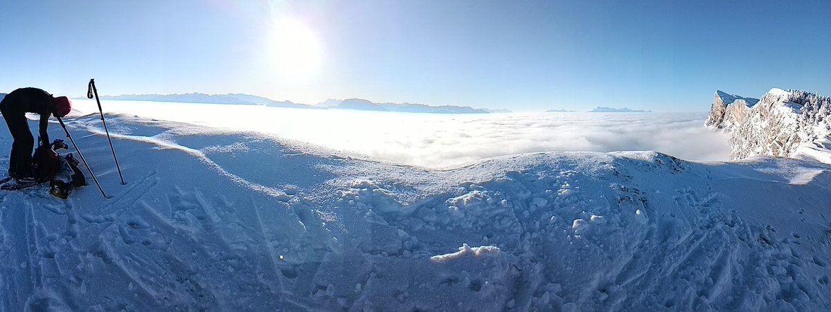 Steven Leake tweet media