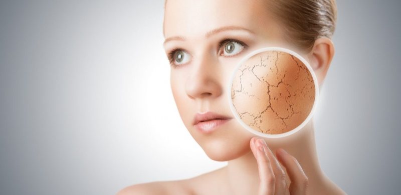 dvalentinadv's tweet photo. @WeledaIT  ha festeggiato 100 candeline e presenta la crema Multifunzione per l'inverno, per viso, mani, unghie. Si può usare anche come maschera, e tante altre novità, se leggete qui ➡️https://t.co/stC2I4it4D ⬅️#beauty #skincare #weleda https://t.co/L63db6g5WJ