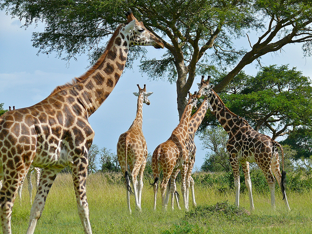 Negohe1's tweet photo. Visit and explore the pearl of Africa. I love my motherland Uganda.
#BeautifulUganda
#VisitUganda
@UgTourismBoard
#PearlofAfrica
#PromotingTourism https://t.co/9myBvkLXZ2