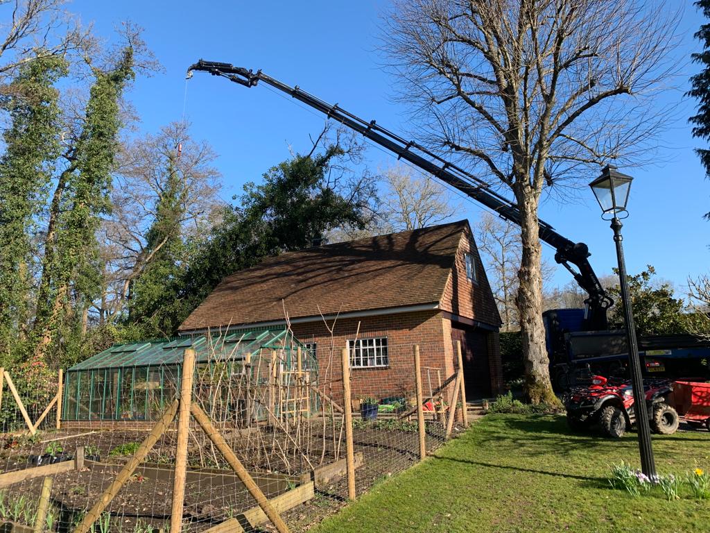 SFinnieLtd's tweet photo. Check out our new website! 

https://t.co/yYdqVm5lWC

#crane #cranehire #lorry #hiab #hiabhire #london #sussxex #construction #volvo #truck https://t.co/CAWMFE9hNo