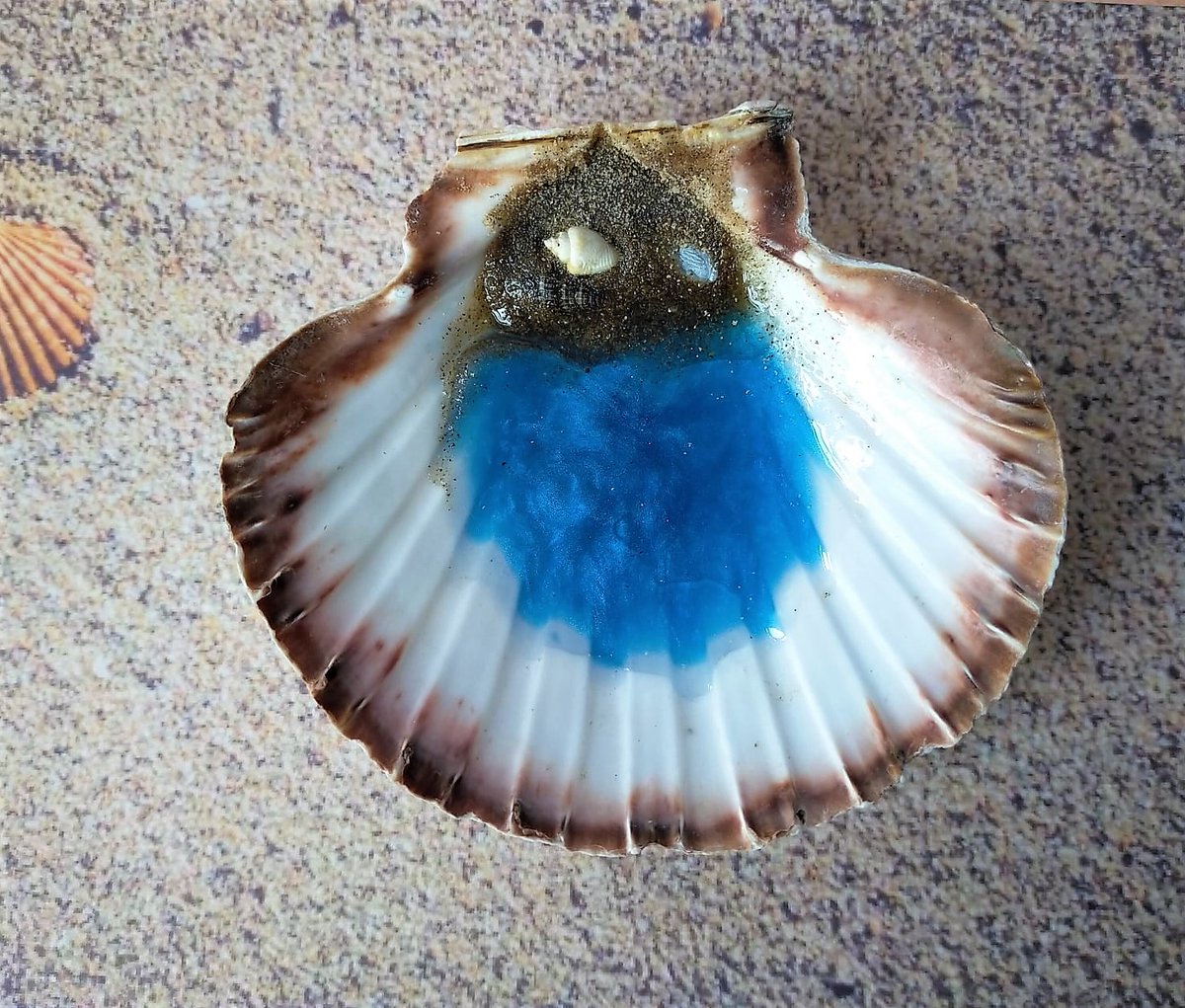 BoxOlives's tweet photo. 🏖🏝Sea Shell Trinket Dish, Jewellery Holder 🏖🏝
I loved making these and collecting the items off the beach!
https://t.co/sKTrCYqDK9 #seashelltrinket #seashelldish #scallopshell #blackpoolsand #blackpoolshells #beachtheme #beachtrinketdish #sandandshells #handpouredresin https://t.co/9XQZjPX9sn