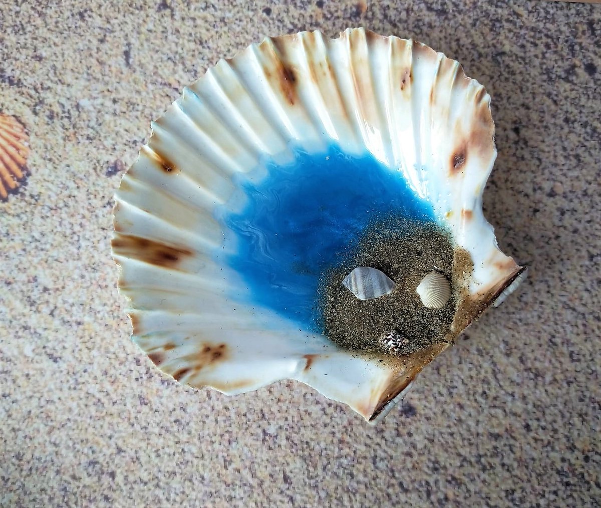 BoxOlives's tweet photo. 🏖🏝Sea Shell Trinket Dish, Jewellery Holder 🏖🏝
I loved making these and collecting the items off the beach!
https://t.co/sKTrCYqDK9 #seashelltrinket #seashelldish #scallopshell #blackpoolsand #blackpoolshells #beachtheme #beachtrinketdish #sandandshells #handpouredresin https://t.co/9XQZjPX9sn