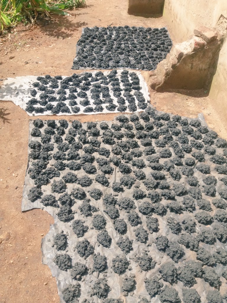 ChewaseMw's tweet photo. #actnow work with nature @malatamathews @GrowthAfrica @sdgscorps_mw #women4energy unlock opportunities towards improving livelihood #homemadebriquettes #reducedeforestation #reuse #smarterchoiceeveryday #cleanengergy4all Dryleaves+anthillsoil+maizehusk+water #bepartofthesolution https://t.co/g9E2vwNpMa