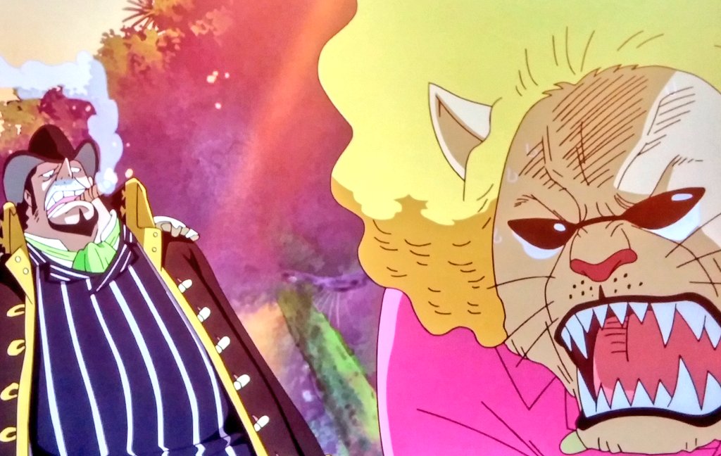 تويتر ペコムズ بحث تويتر