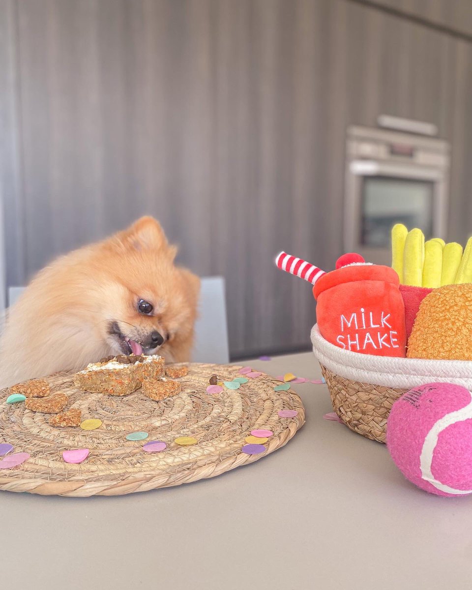 Happy second birthday! 💛

He recently turned two and Saterday  was his pawty 🤪!

#dogs #dogsoftwitter #twitterdogcommunity #DogsofTwittter #birthday #birthdayboy #cake #party