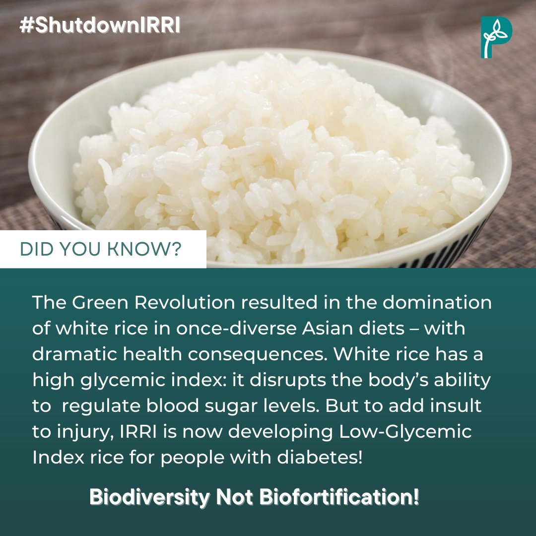 PANAsiaPacific's tweet photo. Second, loss of rice diversity
#ShutdownIRRI #DefendOurRice
https://t.co/yqHKsfSo1V https://t.co/4laVkl5Sd2