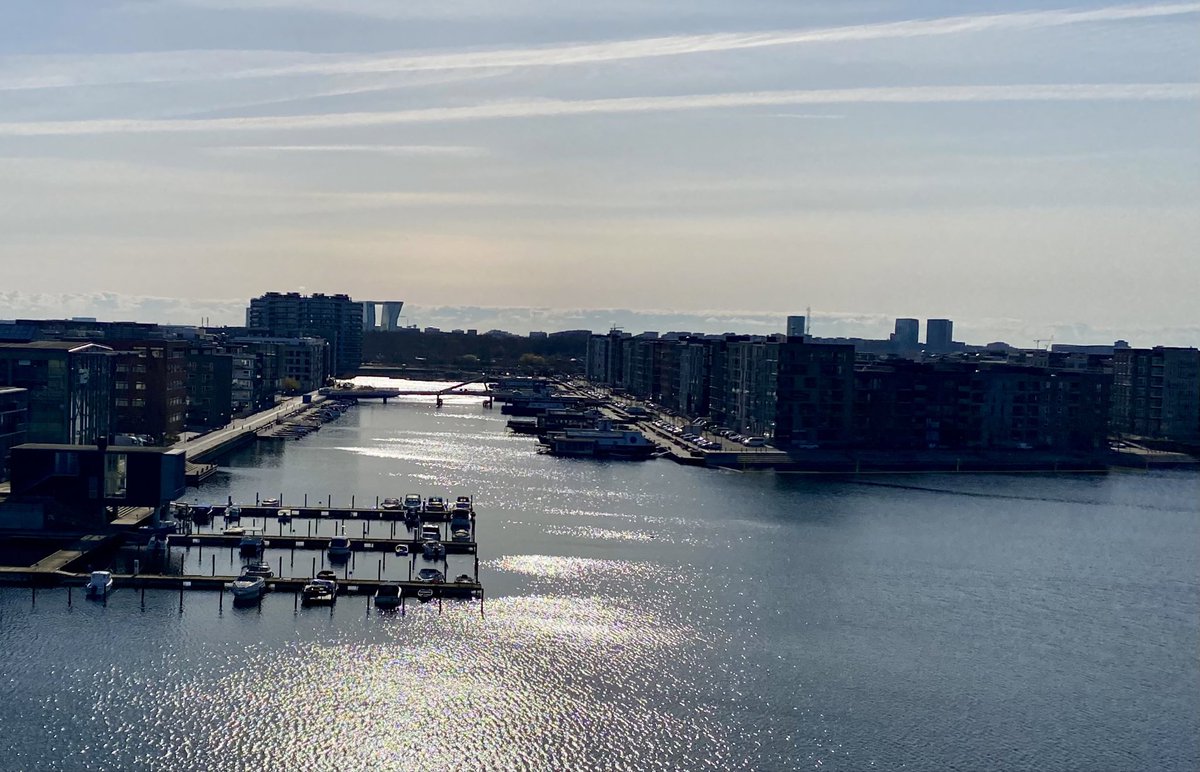 PREDICT IBD tweet media