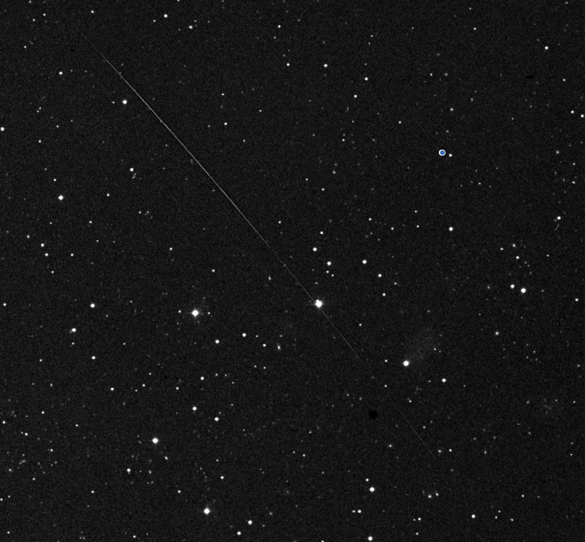 The VASCO project tweet media