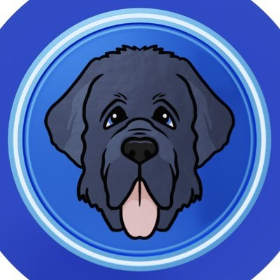 DeCryptDisciple's tweet photo. 2/ @NewfyCoin in a very short amount of⏱have developed a strong discord following, while bringing in several new users from different ecosystems. Could it be the strong team pulling the strings in the background? DYOR, but definitely 1 to👀 for sure 🔥 https://t.co/y2rioTB6lM