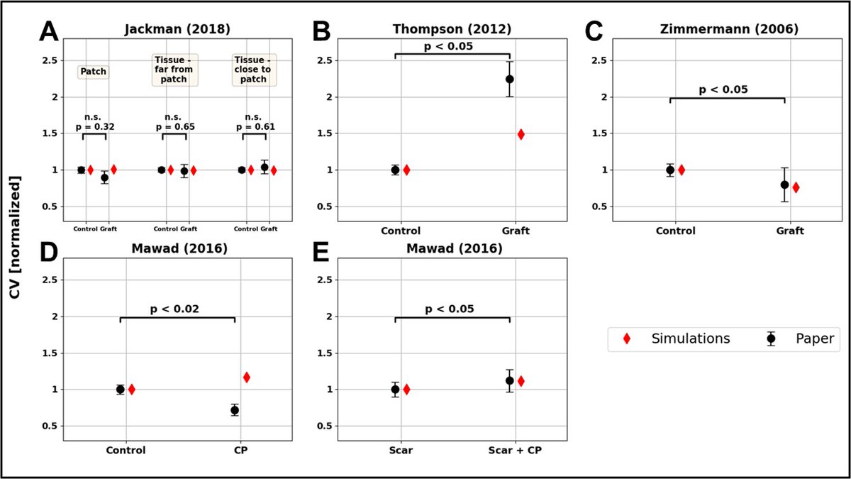 CEMRG_'s tweet photo. Paper alert! 🚨

Our #PhD student @damiFass just got his first first-author paper out in @PLOSCompBiol ! 

In it, they modelled heart tissue patches on different mammals and explore the effect of different patch designs

Acess it 🔓at:
https://t.co/XKEPkfIncW https://t.co/CnXomYtoHb