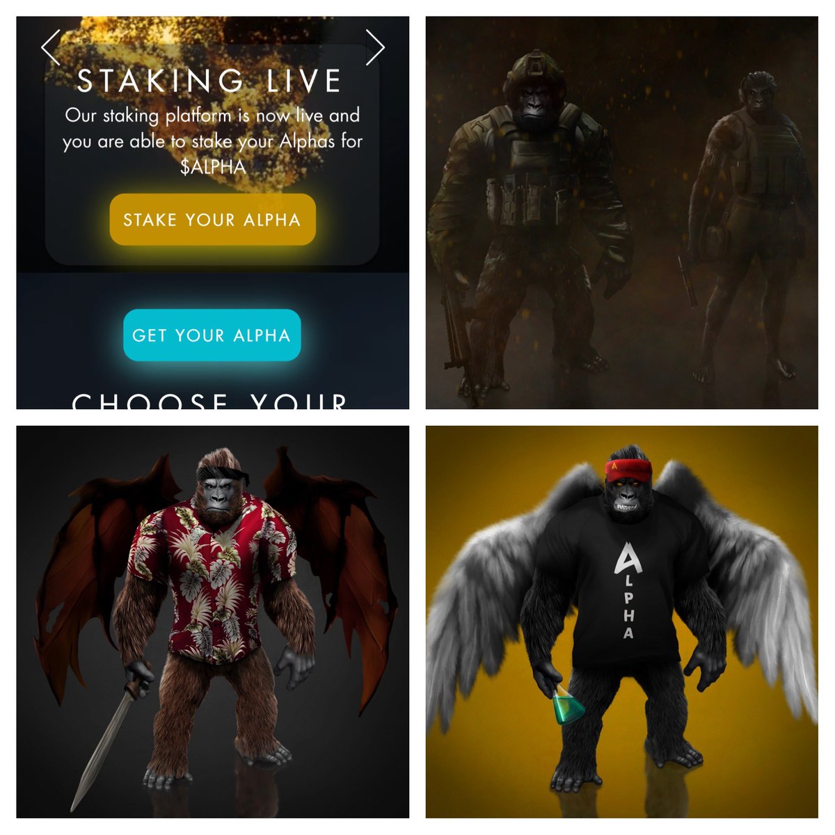 GreyzHoundz's tweet photo. @KingArthurrNFT Check out @Alpha_Gorillas its the next big thing. Unreal engine 5. Deflationary NFT through Fusing. Breeding with Alphas and to be released Alphines. Launched Alpha pads. Staking. More than 50% of total Alphas are staked. #AlphaNFT #NFT #AlphaTroop #Solana https://t.co/WzdnhY18WK