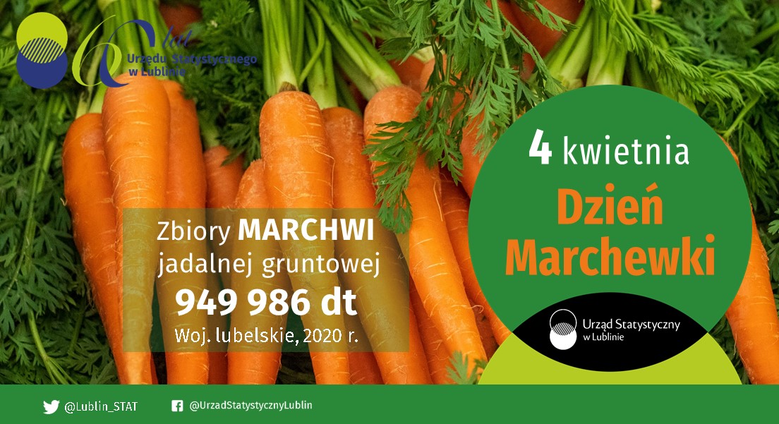 Lublin_STAT's tweet image. Dzisiaj marchewki chrupiemy 🥕🥕🥕

W 2020 r. w woj. lubelskim #marchew jadalną gruntową uprawiano na powierzchni 2,1 tys. ha i zebrano jej prawie 95,0 tys. ton,  co dało 2 miejsce w Polsce‼ Przeciętna cena skupu marchwi wyniosła 0,31 zł za 1 kg.

#DzieńMarchewki #lubelskie