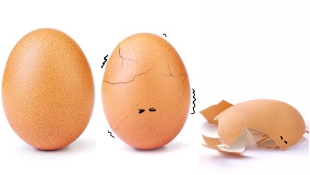 TenderRecord's tweet photo. The journey of the #worldrecordegg ended in February 2019 when it revealed the creator behind it. The egg can no longer carry on the record. It took over Instagram, now let’s take over #opensea. #worldrecordchickentender #recordtradingvolume https://t.co/nMpAaKWk0N