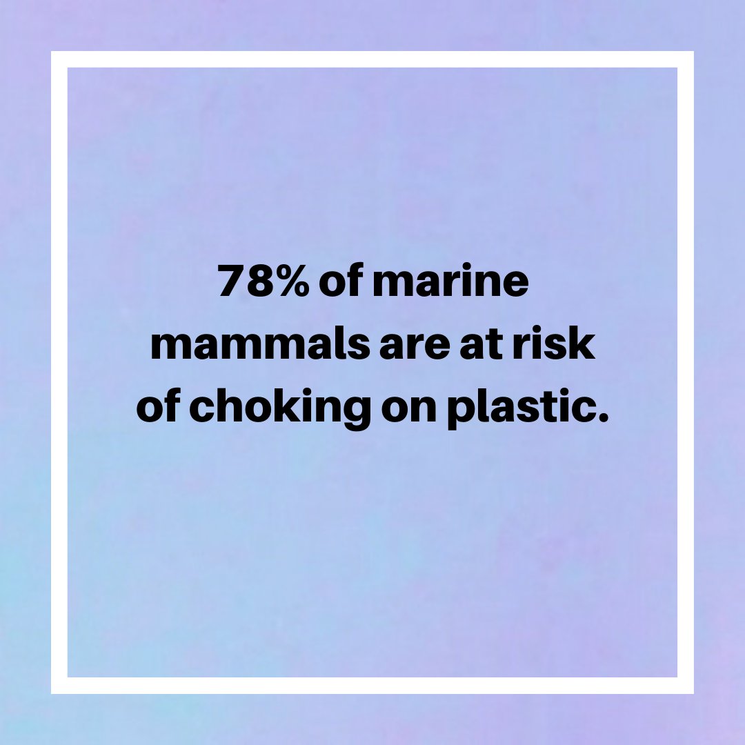 BharatGaia's tweet photo. Seventy-eight percent of marine mammals are at risk of accidental deaths, such as getting caught in fishing nets. #Plastic bags and other plastic garbage that ends up in the ocean kill over 1,000,000 sea animals every year.
#environmentfact #zerowaste #gaiabharat https://t.co/cE0C8cEPRc